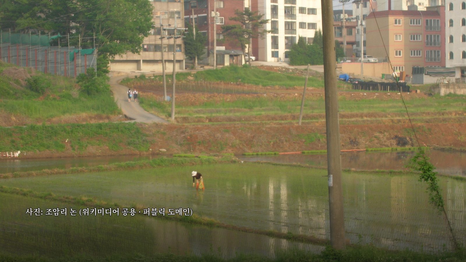 AI로 생성한 이미지입니다