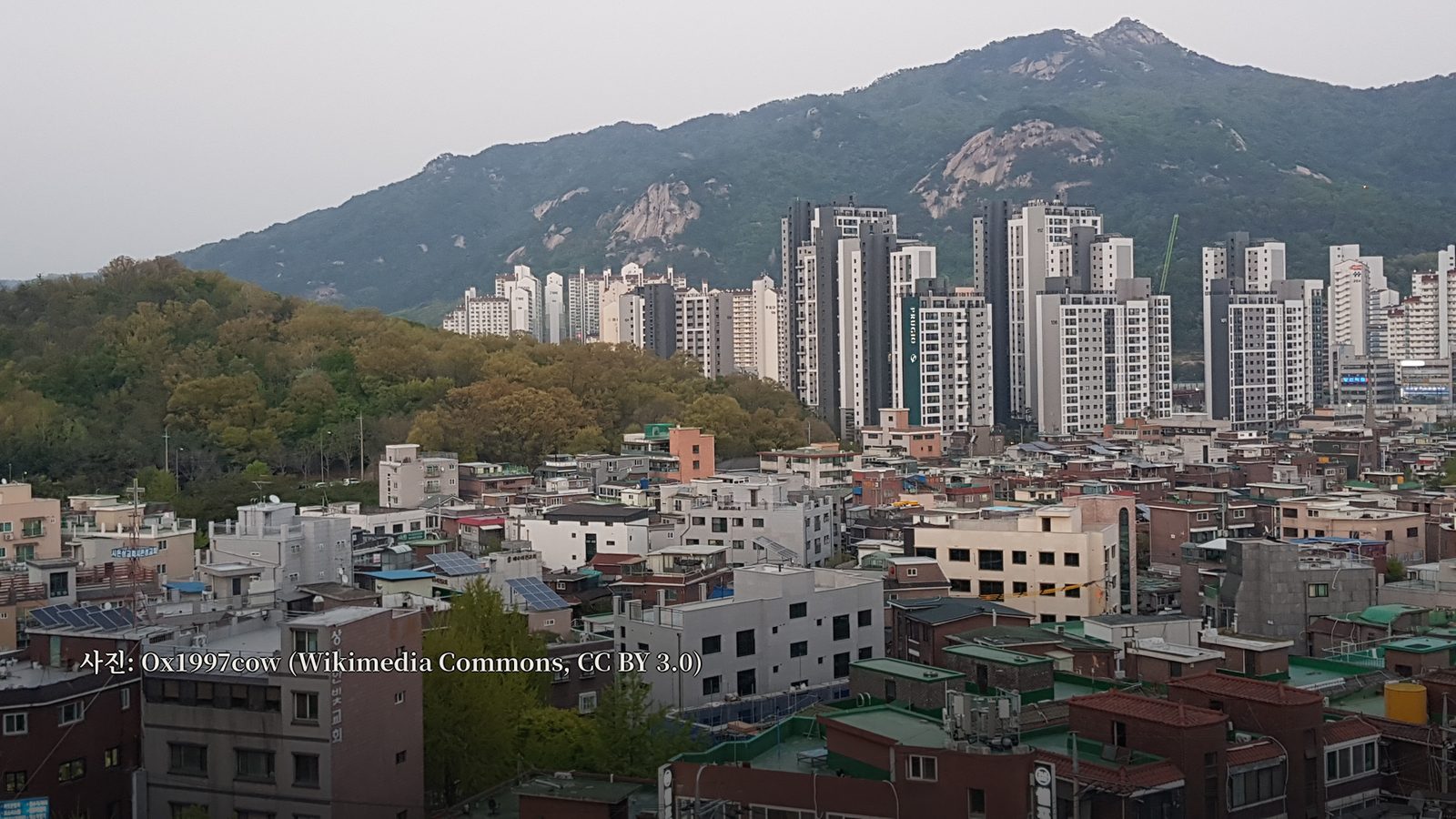 AI로 생성한 이미지입니다